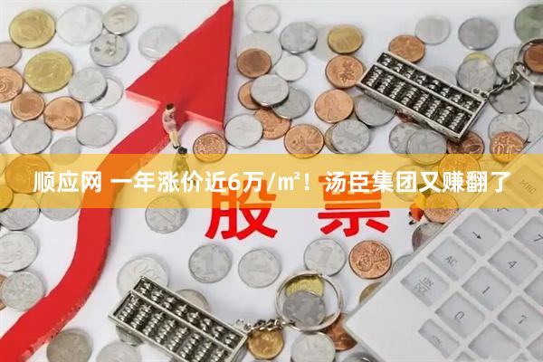 顺应网 一年涨价近6万/㎡！汤臣集团又赚翻了