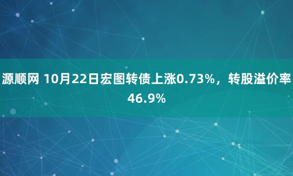 源顺网 10月22日宏图转债上涨0.73%，转股溢价率46.9%