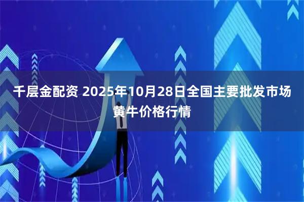 千层金配资 2025年10月28日全国主要批发市场黄牛价格行情