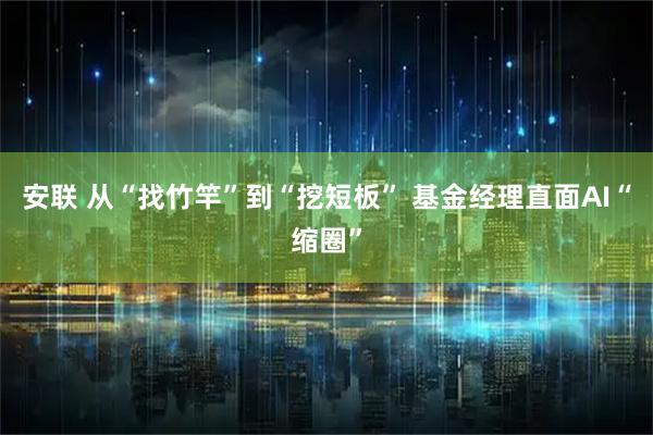 安联 从“找竹竿”到“挖短板” 基金经理直面AI“缩圈”